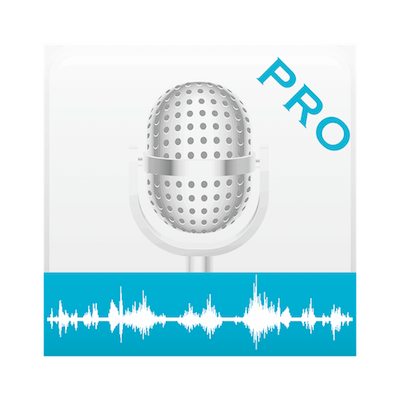 Voice Notes Pro 4.1