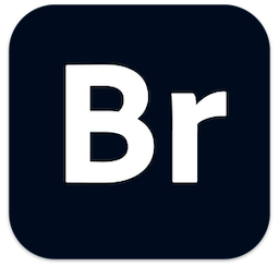 Adobe Bridge 2021 v11.1.1