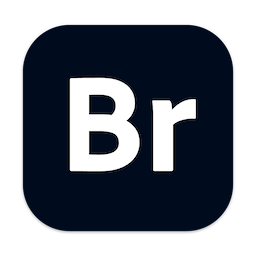 Adobe Bridge 2024 v14.0